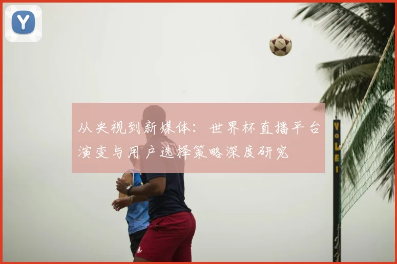 从央视到新媒体：世界杯直播平台演变与用户选择策略深度研究