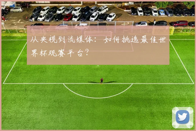 从央视到流媒体：如何挑选最佳世界杯观赛平台？