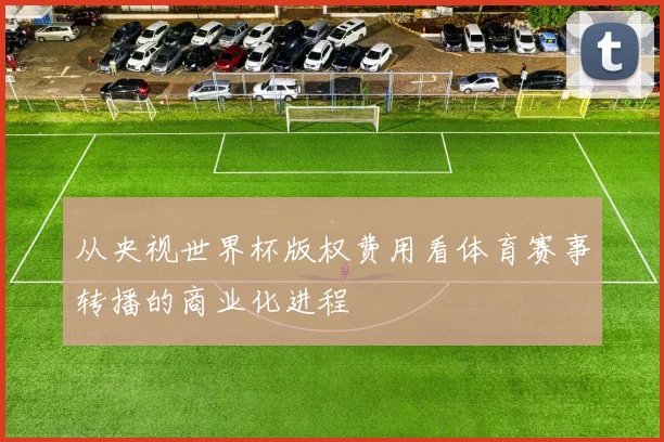 从央视世界杯版权费用看体育赛事转播的商业化进程