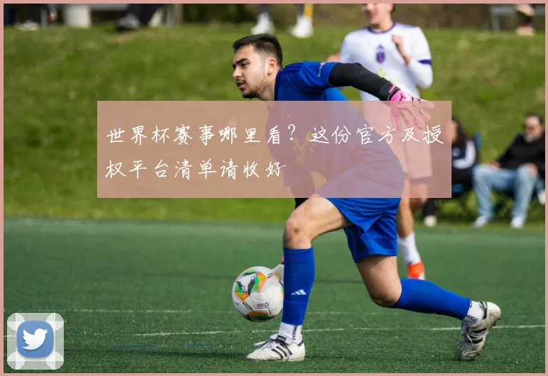 世界杯赛事哪里看？这份官方及授权平台清单请收好
