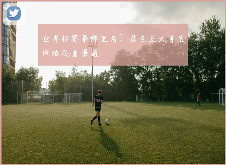 世界杯赛事哪里看？盘点五大可靠网络观看渠道